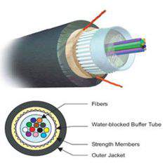 Cáp quang AMP ourdor Multimode 50/125µm, Armored