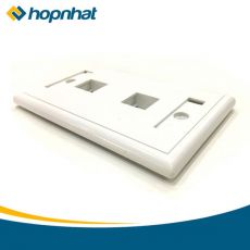 Mặt Wall Plate 2 Port LS