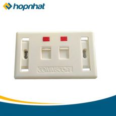 Mặt wallblate 2 lỗ hình chữ nhật