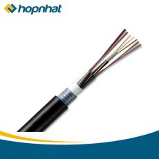 Dây cáp quang 4FO LS Cable System