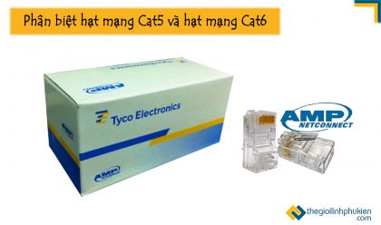 Hạt mạng là gì? Phân biệt các loại hạt mạng cat5 và cat6