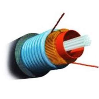 Cáp quang AMP ourdor Multimode 62.5/125µm,Armored