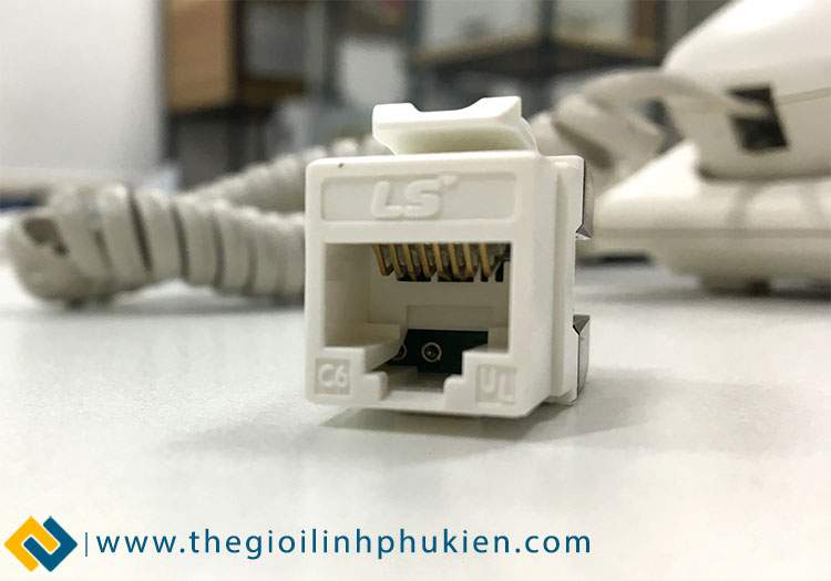 Nhân mạng LS Cat6 chính hãng