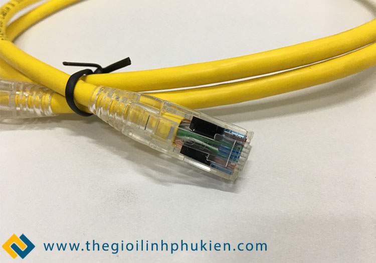 Mặt trên đầu cắm mạng