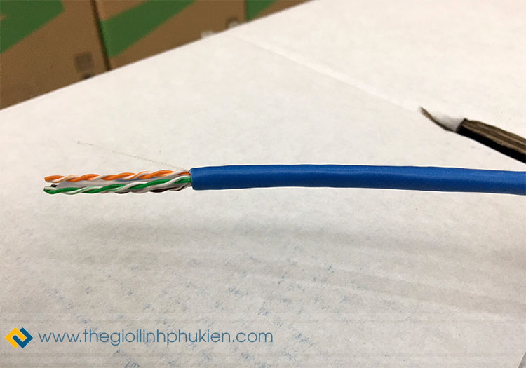 Cáp mạng Belden Cat6 chính hãng