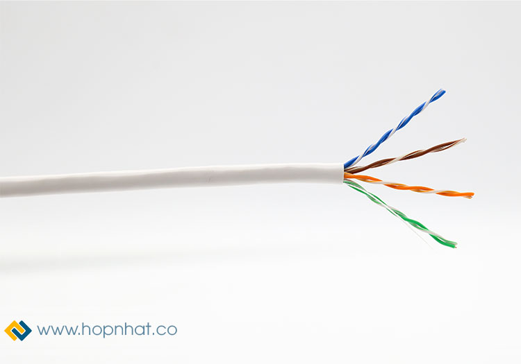 Dây mạng GoldenLink Cat5e UTP