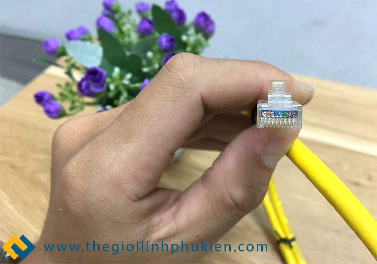 Điểm tiếp xúc đồng của dây nhảy cáp mạng CAT6 LS