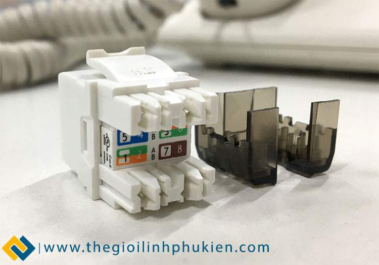 Nhân mạng LS Cat6 chính hãng