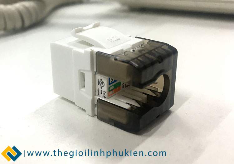 Nhân mạng LS Cat6 chính hãng