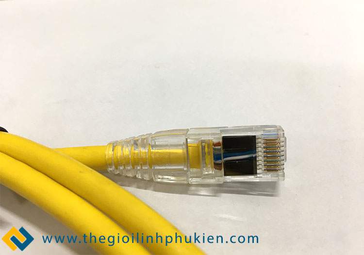 Mặt dưới của đầu cắm mạng