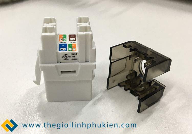 Nhân mạng LS Cat6 chính hãng